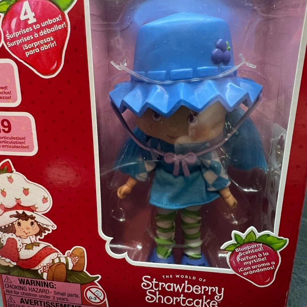Blueberry Doll with Blue Outfit